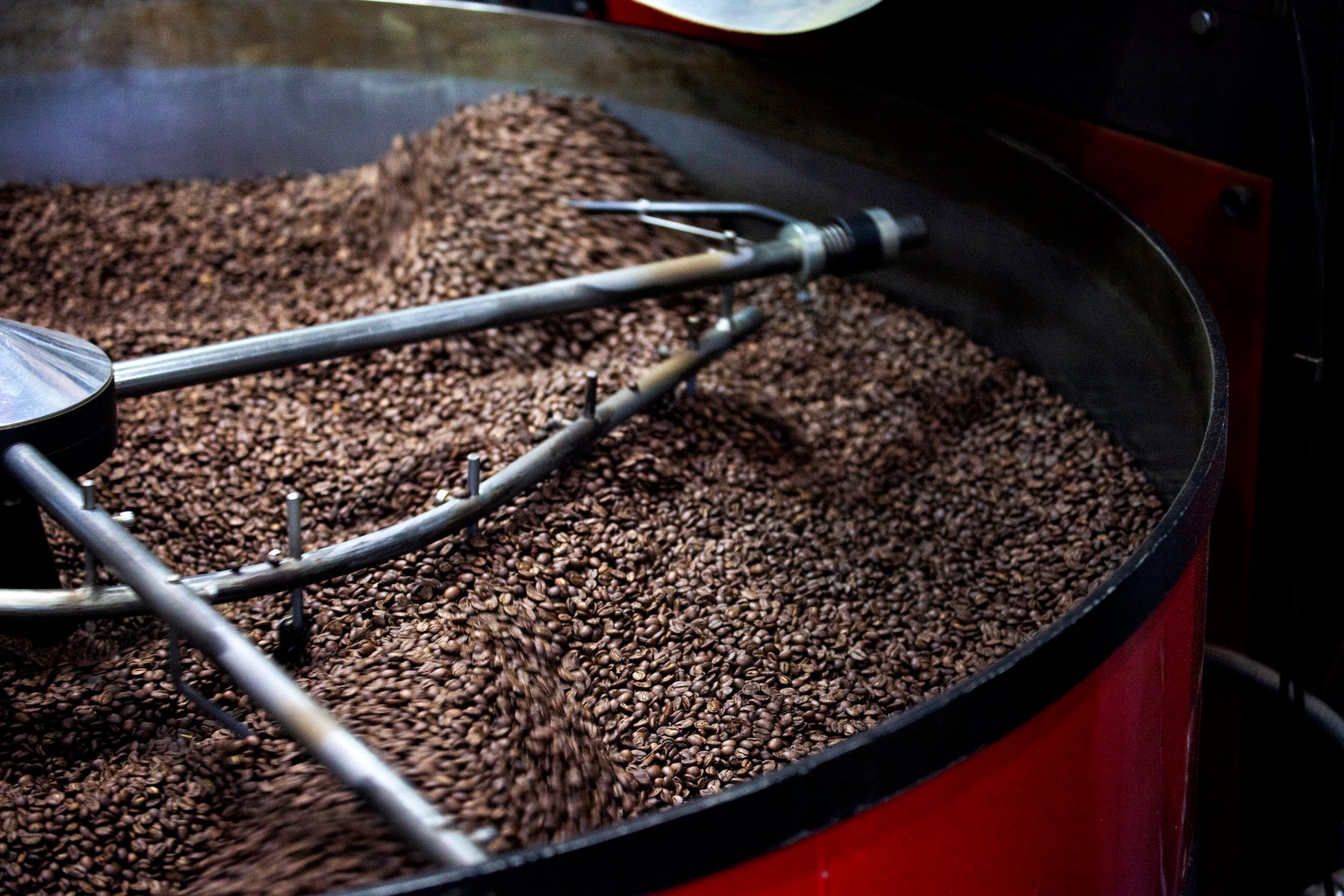 Apprenez à conserver la fraîcheur de votre café - 49th Parallel Coffee Roasters