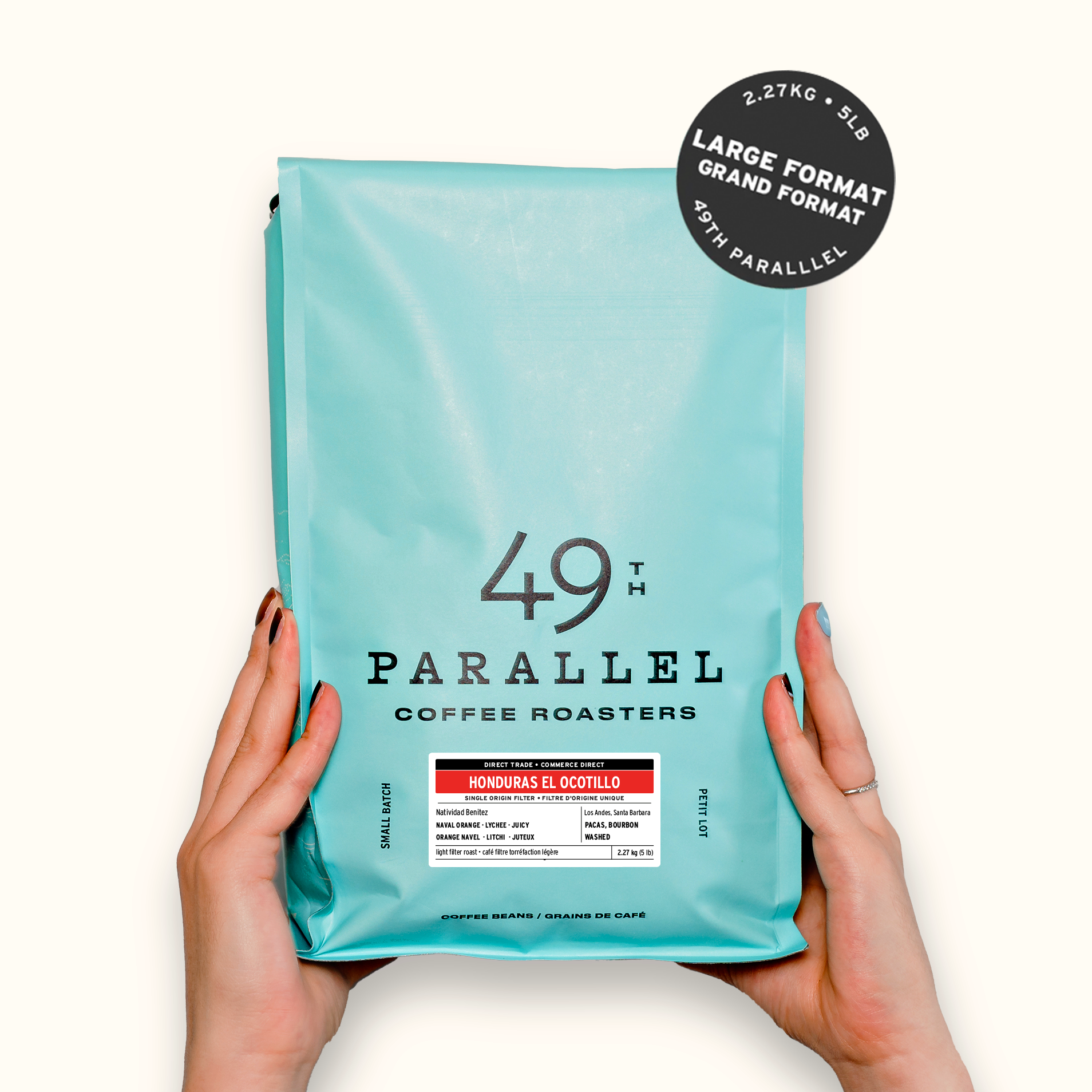49th Parallel Coffee Roasters - Direct Trade Specialty Coffee - Honduras El Ocotillo Single Origin Filter Coffee 5LB