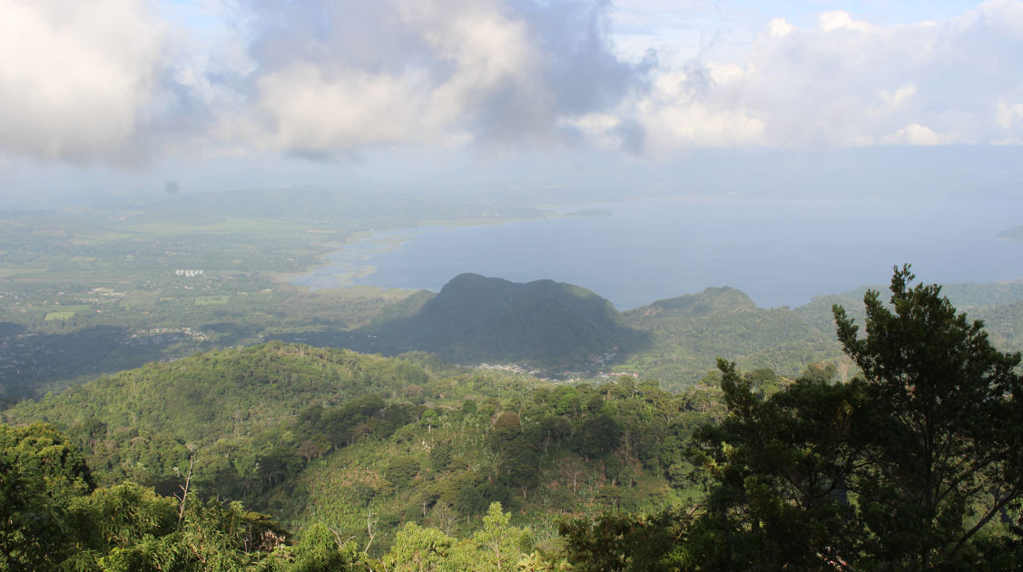 49th Parallel Coffee Roasters - Café de spécialité du commerce direct - Love Notes Espresso 