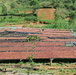 49th Parallel Coffee Roasters - Burundi Kayanza Butanyerera - Direct Trade Specialty Coffee 