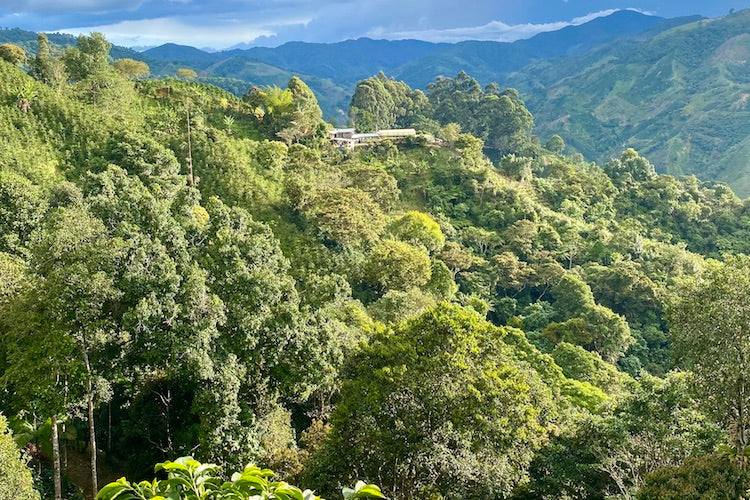 Espresso Holiday Single Origin