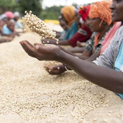 Ethiopia Yirgacheffe Single Origin Filter Coffee