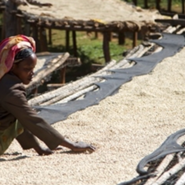 Ethiopia Yirgacheffe Single Origin Filter Coffee