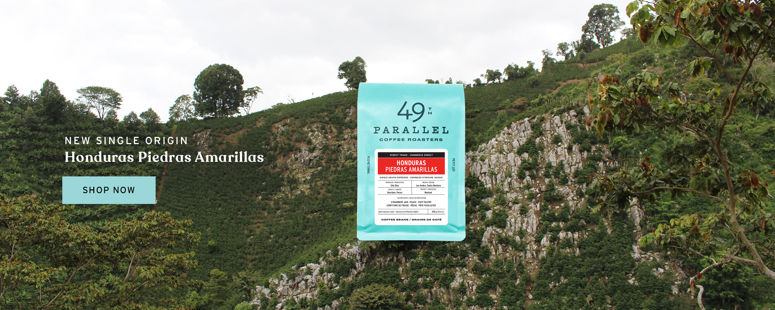 49th Parallel Coffee Roasters - Honduras Piedras Amarillas - Espresso d'origine unique