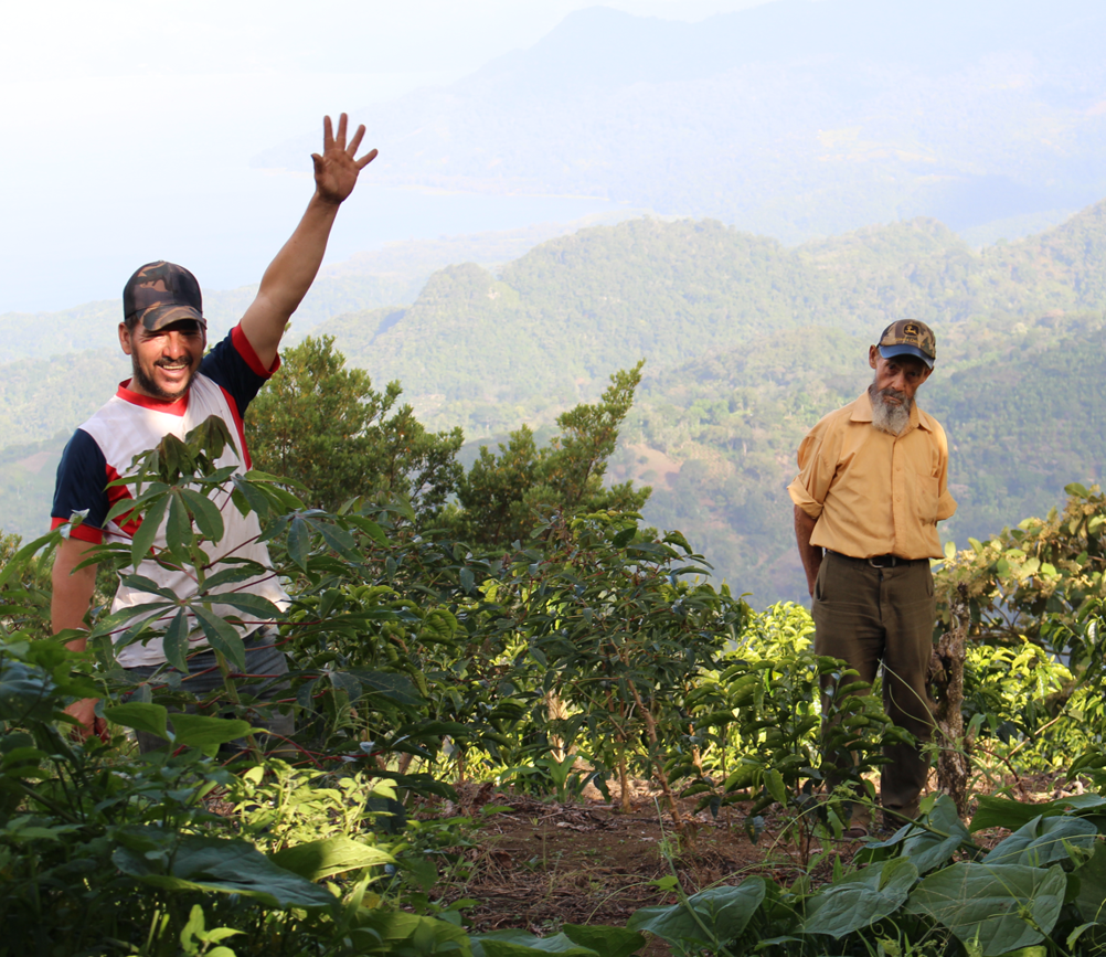 49th Parallel Coffee Roasters - Café de spécialité du commerce direct - Love Notes Espresso 