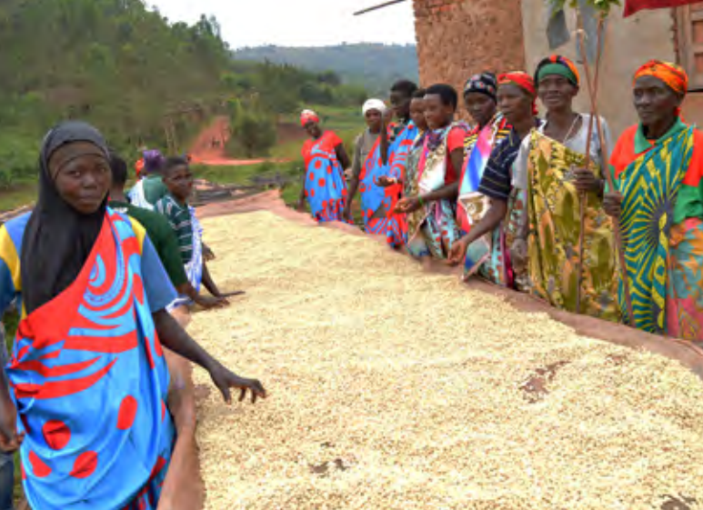 Burundi Bavyeyi Espresso naturel