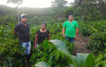 49th Parallel Coffee Roasters - Colombia Cauca Caldono Single origin Espresso Specialty Coffee