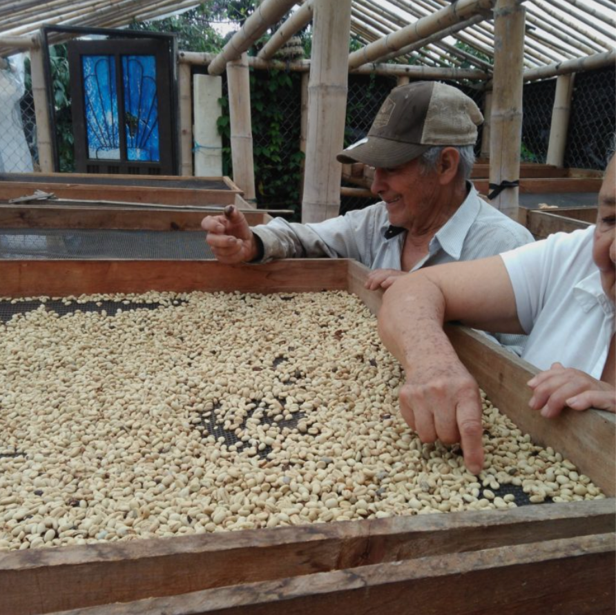 Colombia Popayan Espresso