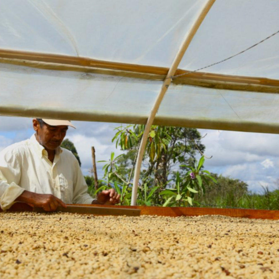 Colombia Popayan Espresso