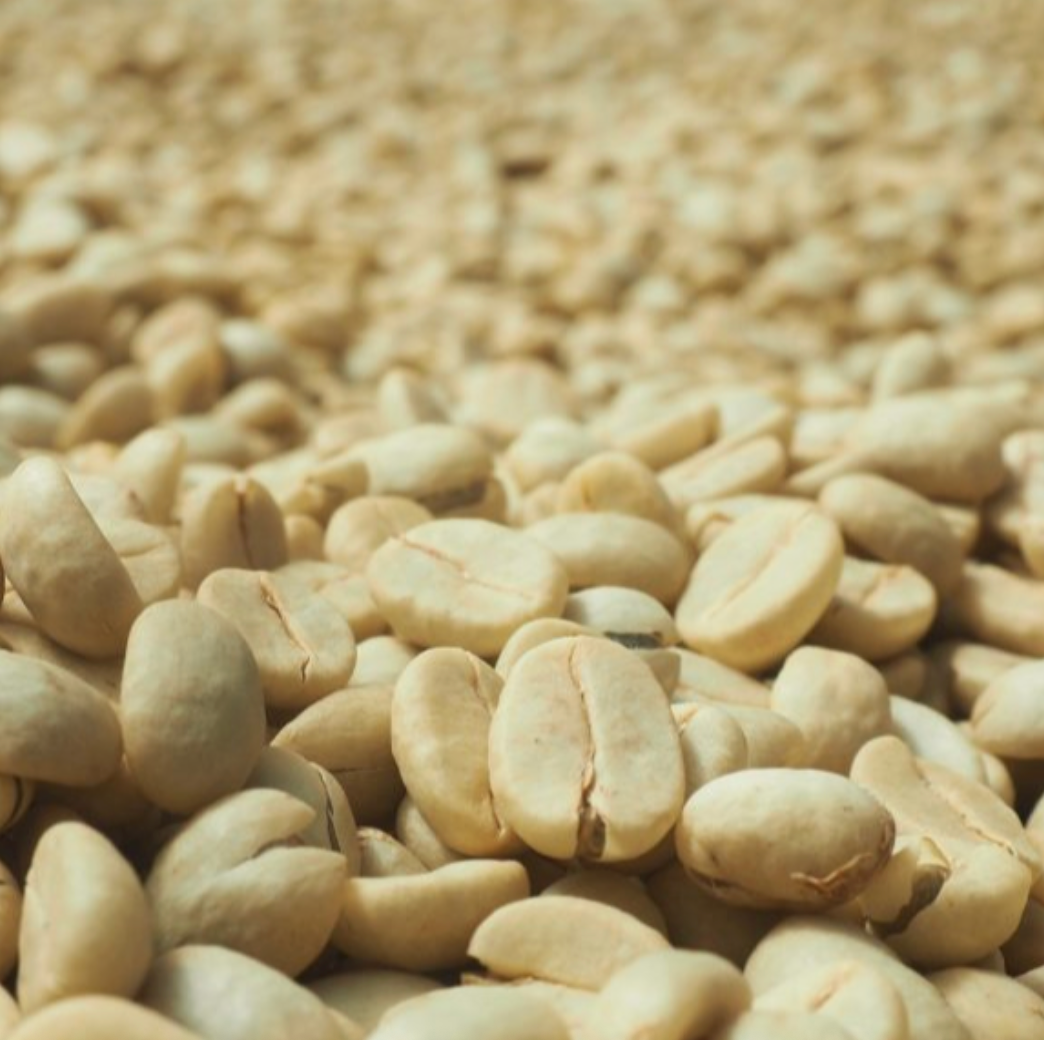 Golden Hour - Limited Edition Espresso - Ethiopian Worka Chelchele