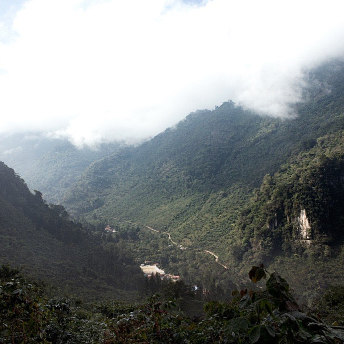 Guatemala El Sendero Filter Roast