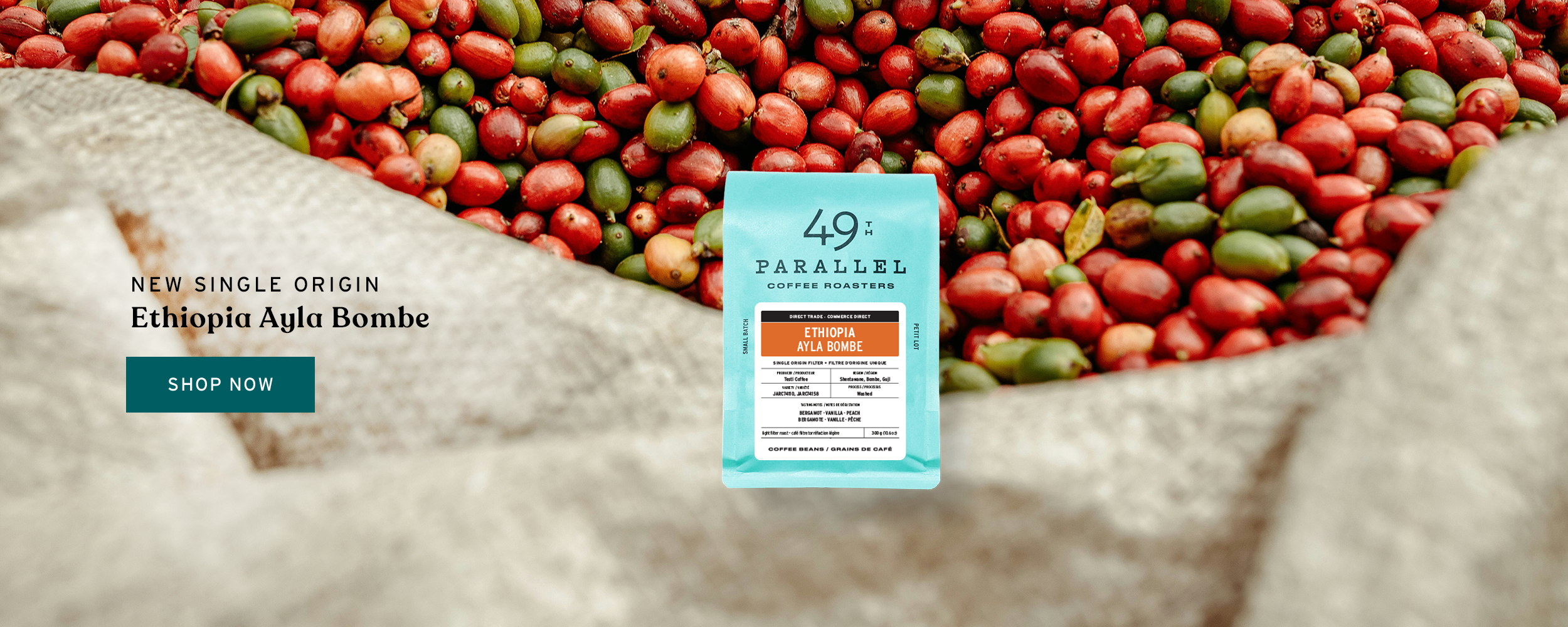 49th Parallel Coffee Roasters - Direct Trade Specialty Coffee - Ethiopia Ayla Bombe Single Origin Filter Coffee