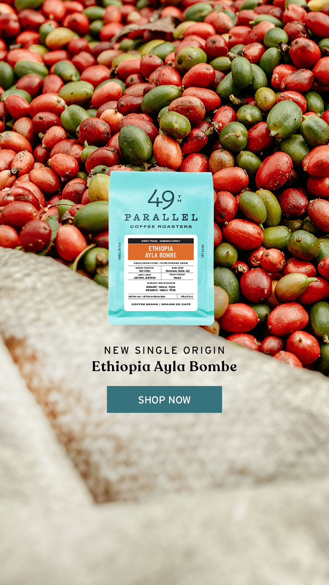 49th Parallel Coffee Roasters - Direct Trade Specialty Coffee - Ethiopia Ayla Bombe Single Origin Filter Coffee