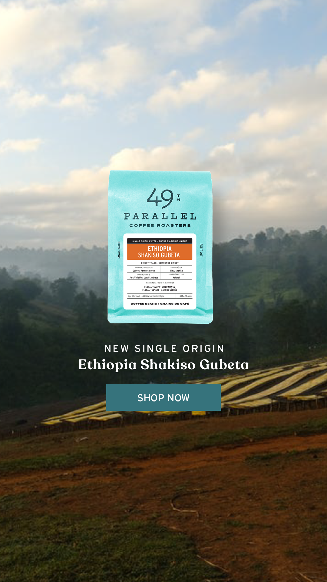 Ethiopia Shakiso - 49th Parallel Coffee Roasters