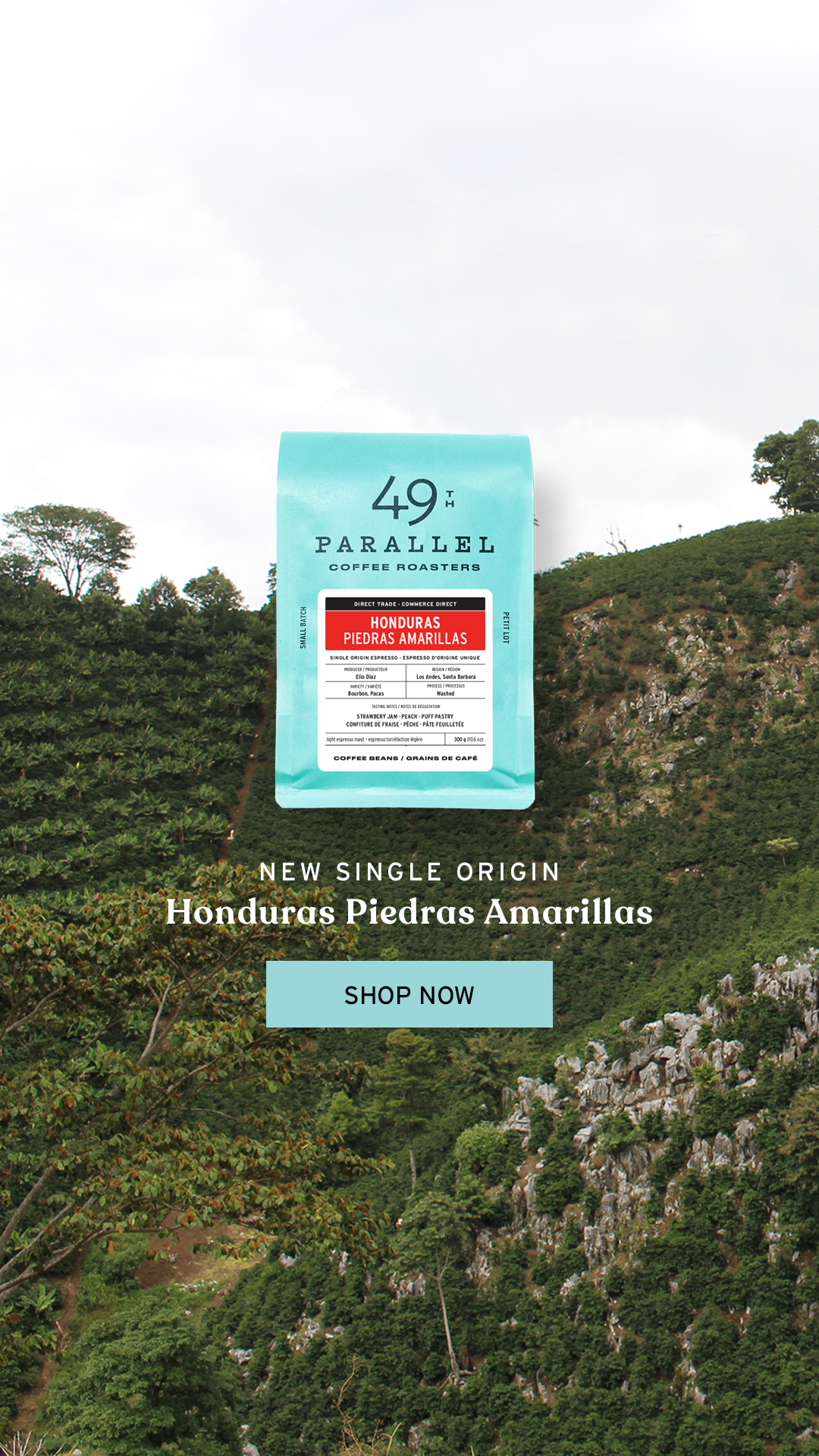 49th Parallel Coffee Roasters - Honduras Piedras Amarillas - Single Origin Espresso