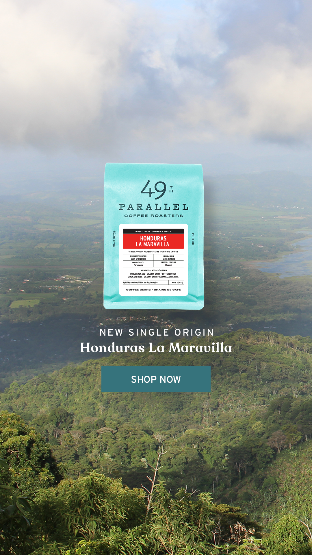 49th Parallel Coffee Roasters - Honduras La Maravilla