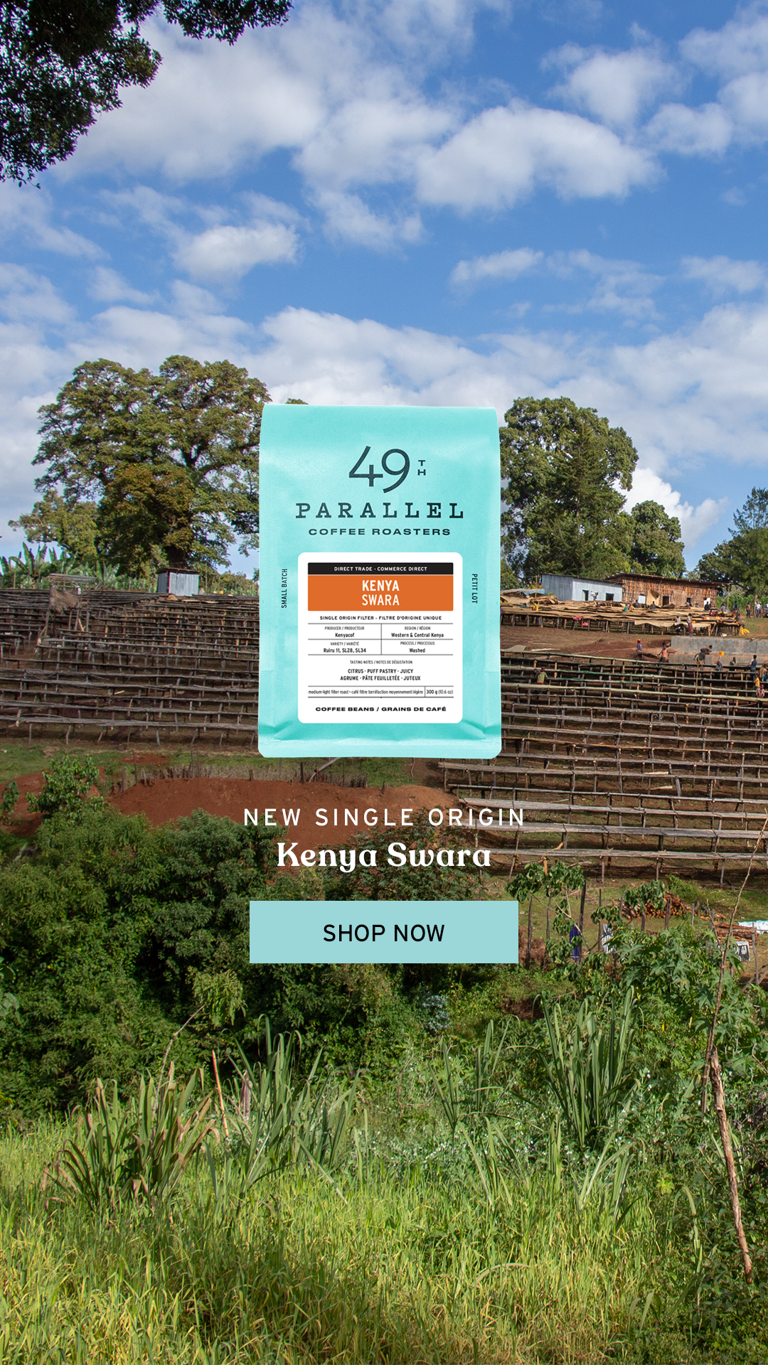 49th Parallel Coffee Roasters - Kenya Swara - Single Origin Filter Coffee