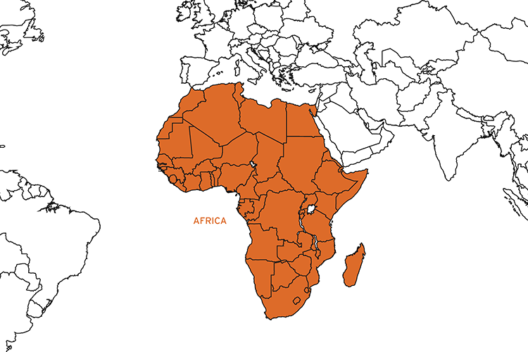 49th Parallel Coffee Roasters - Kenya Ngomano Small Lot Coffee