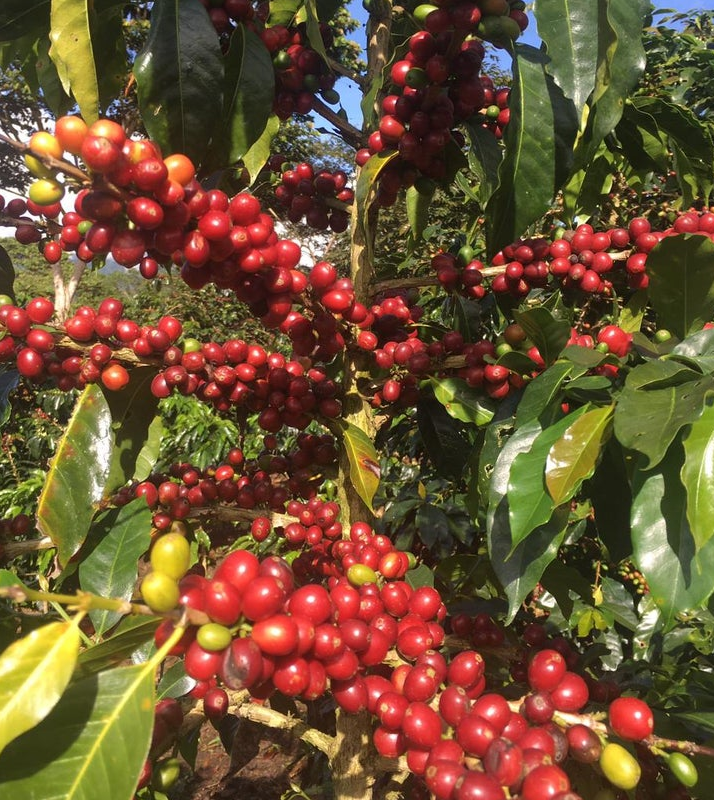 Peru San Ignacio