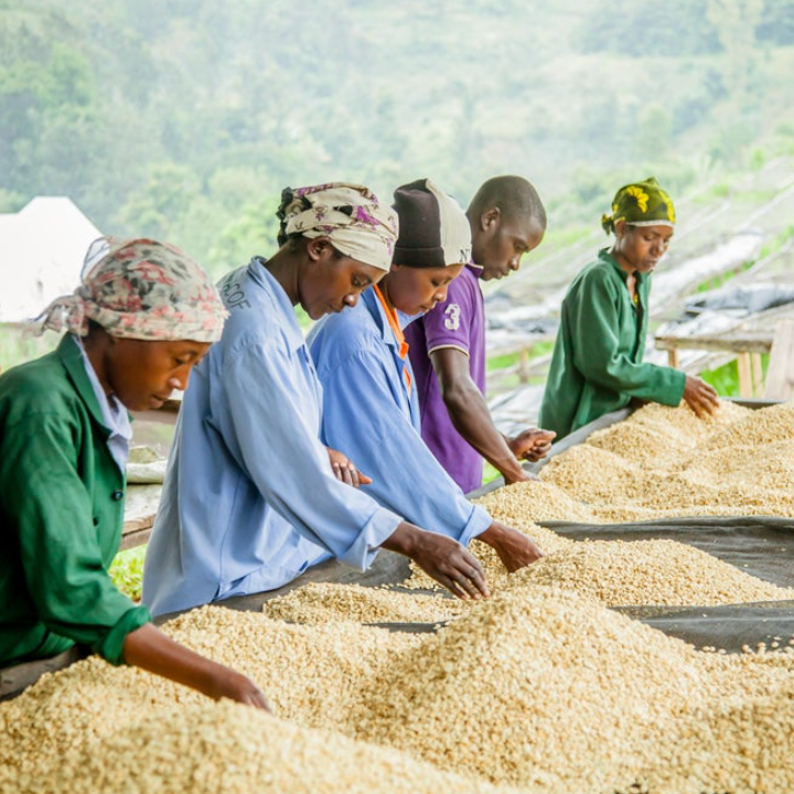 Rwanda Isimbi Organic