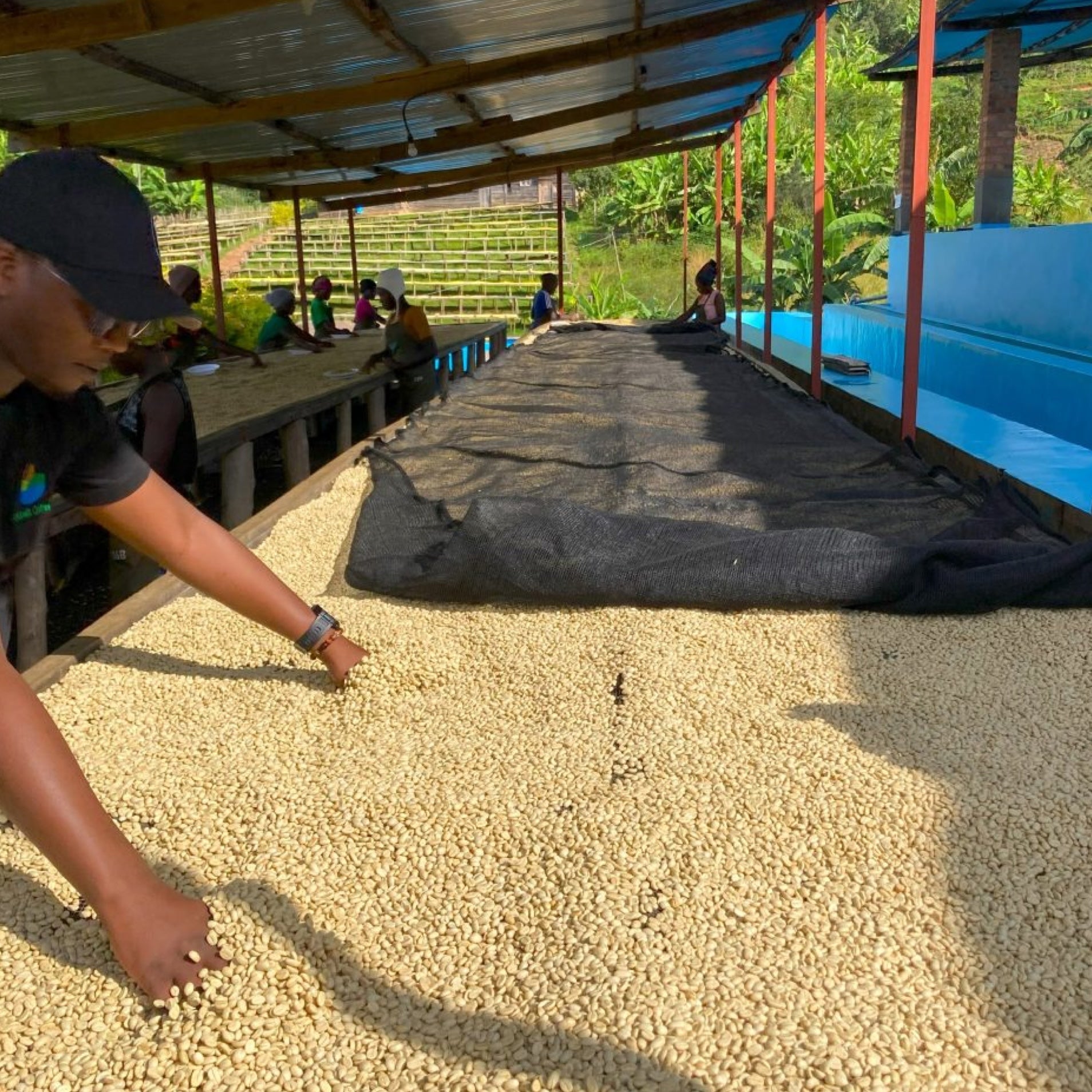 Rwanda Murundo Espresso