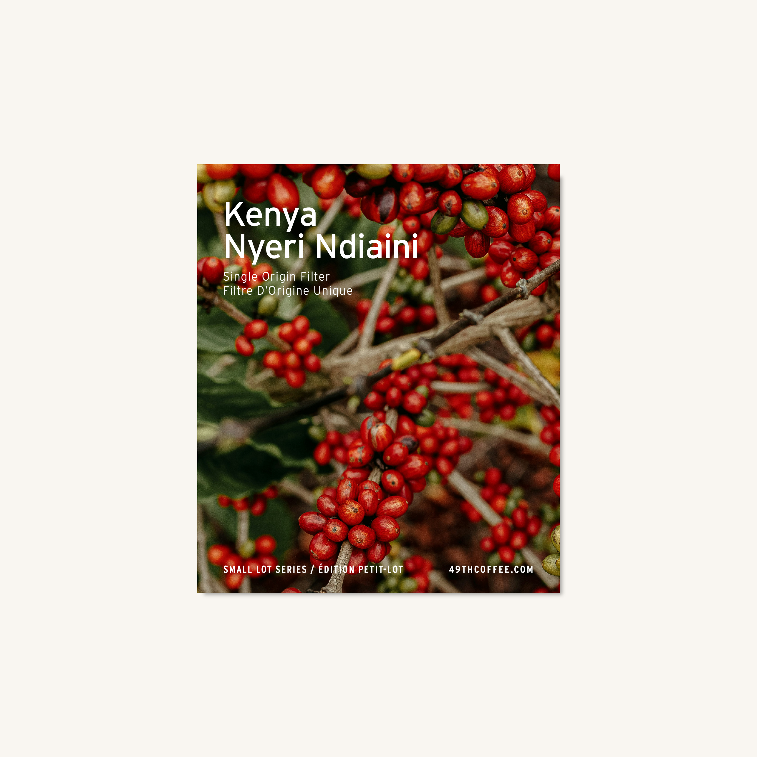Kenya Nyeri Ndiaini Filter Roast