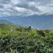 49th Parallel Coffee Roasters - Peru San Ignacio Espresso